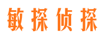 天镇市调查公司